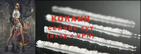 дурь Тавда