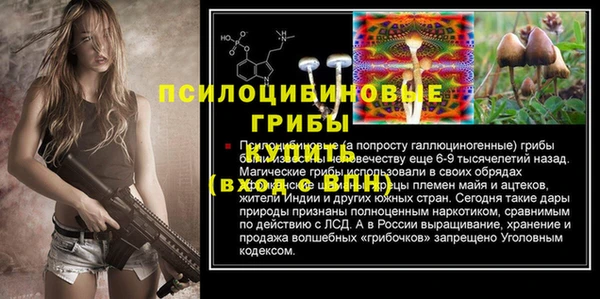 стаф Абинск