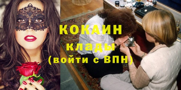 стаф Абинск