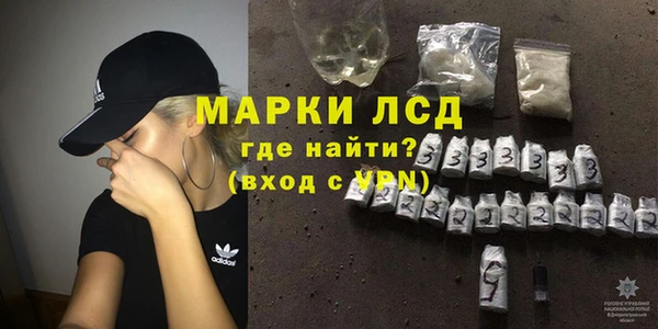 молекула духа Ладушкин