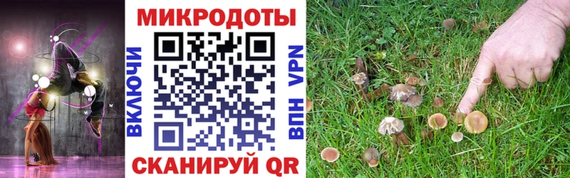 Галлюциногенные грибы мухоморы Северодвинск
